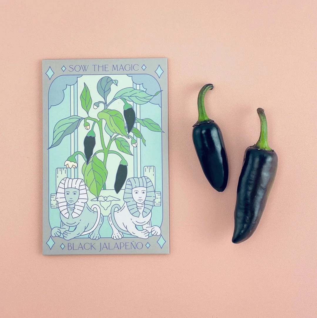 Sow The Magic Art & Home Black Hungarian Jalapeño Tarot Seed Packet 3 Sow The Magic Art & Home Black Hungarian Jalapeño Tarot Seed Packet