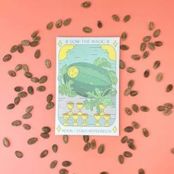 Sow The Magic Moon And Stars Watermelon Tarot Garden + Gift Seed Packet Art & Home