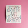 A Shop Of Things Trans Rights Stickers