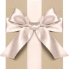 Paper Source Blush Satin Ribbon