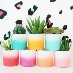 Kailo Chic Art & Home Ombre Cement Planter