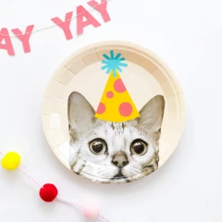 My Mind's Eye Basic Cat 7" Plates 8 My Mind's Eye Basic Cat 7