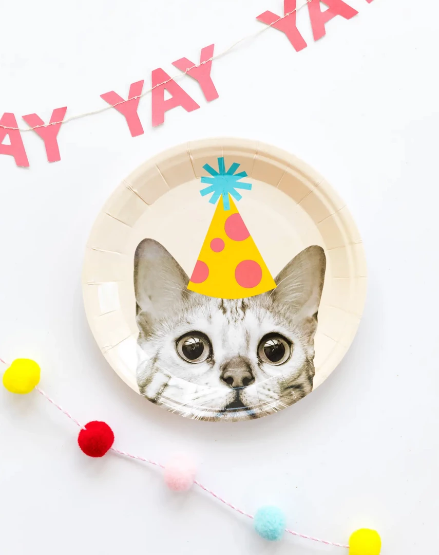 My Mind's Eye Basic Cat 7" Plates 5 My Mind's Eye Basic Cat 7" Plates