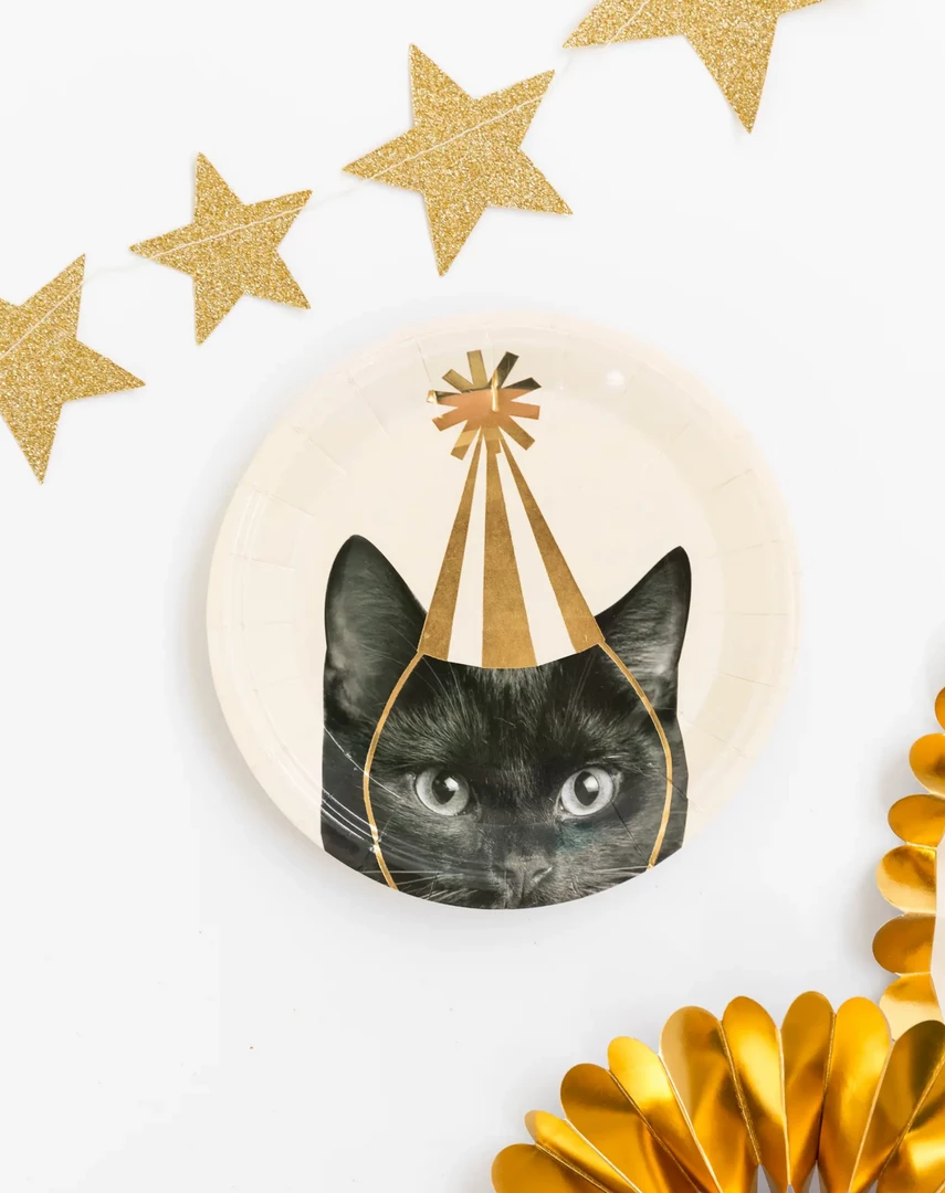 My Mind's Eye Basic Cat 7" Plates 6 My Mind's Eye Basic Cat 7" Plates