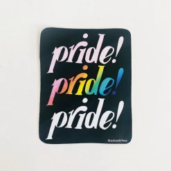 Ash + Chess Stickers Pride Sticker