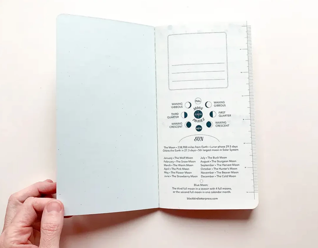 Blackbird Letterpress Frida Kahlo Weekly Planner Calendars + Planners 7 Blackbird Letterpress Frida Kahlo Weekly Planner Calendars + Planners