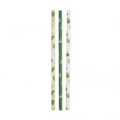Cakewalk Assorted Monstera Straws