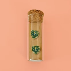 Solbeam Studio 22k Gold Plated Anthurium Clarinervium Enamel Earrings