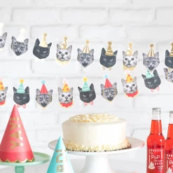 My Mind's Eye Party Cat Banner