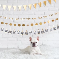 My Mind's Eye Party Dog Banner