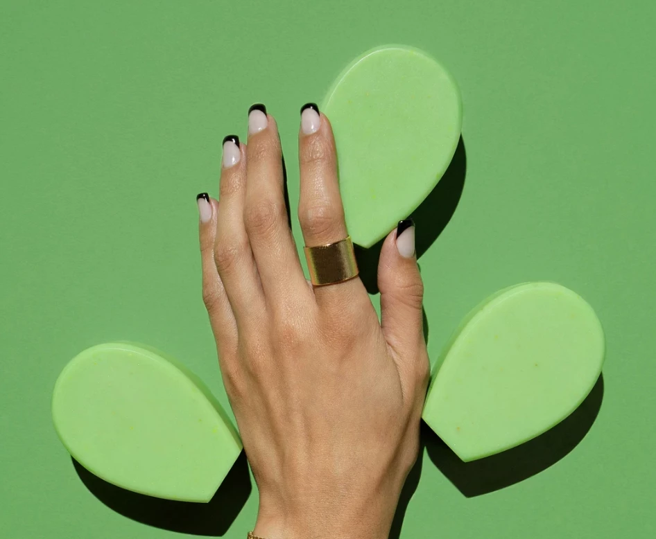 Nopalera Planta Futura Cactus Soap Art & Home 4 Nopalera Planta Futura Cactus Soap Art & Home