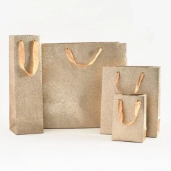 Paper Source Champagne Glitter Gift Bag - Small Gift And Favor Supply