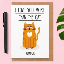 Studio Boketto More Than The Cat