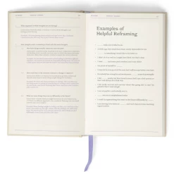 Therapy Notebooks The Depression Guidebook