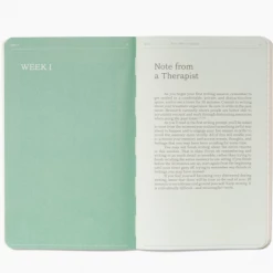 Therapy Notebooks The Trauma & Written Exposure Workbook