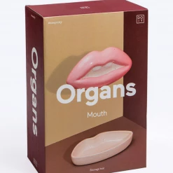 DOIY Art & Home Mouth Storage Box - Organs Collections 7 DOIY Art & Home Mouth Storage Box - Organs Collections