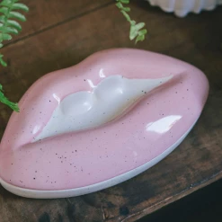 DOIY Art & Home Mouth Storage Box - Organs Collections 9 DOIY Art & Home Mouth Storage Box - Organs Collections