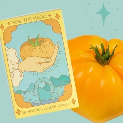 Sow The Magic Dr. Wyche's Yellow Tomato Tarot Seed Packet