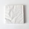 Party Art Community White Large Party Napkins