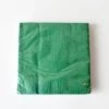 Party Art Community Green Large Party Napkins