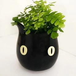 Valfre Bruno Ceramic Planter